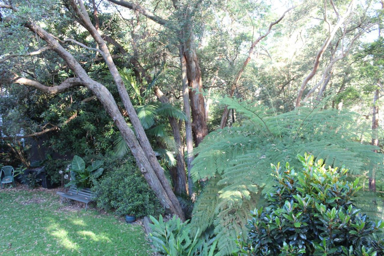 Bushland Setting Close To Sydney Cbd- Stand Alone Apartment 外观 照片